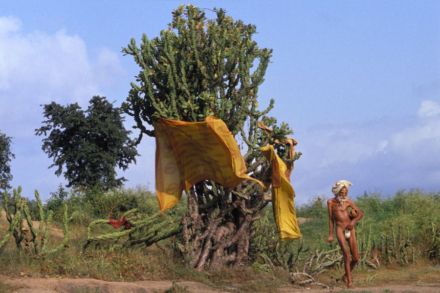 Sadhu on his way to Godavari river, Kumbh Mela, Nasik, Maharashtra, India